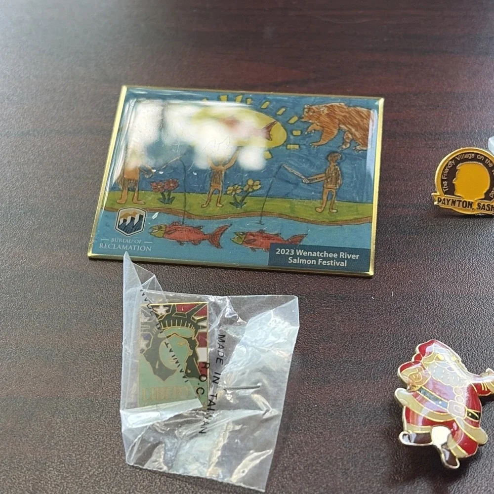 Lot Of 25 Lapel Hat Pins Christmas Americana Football Lions Elks R1